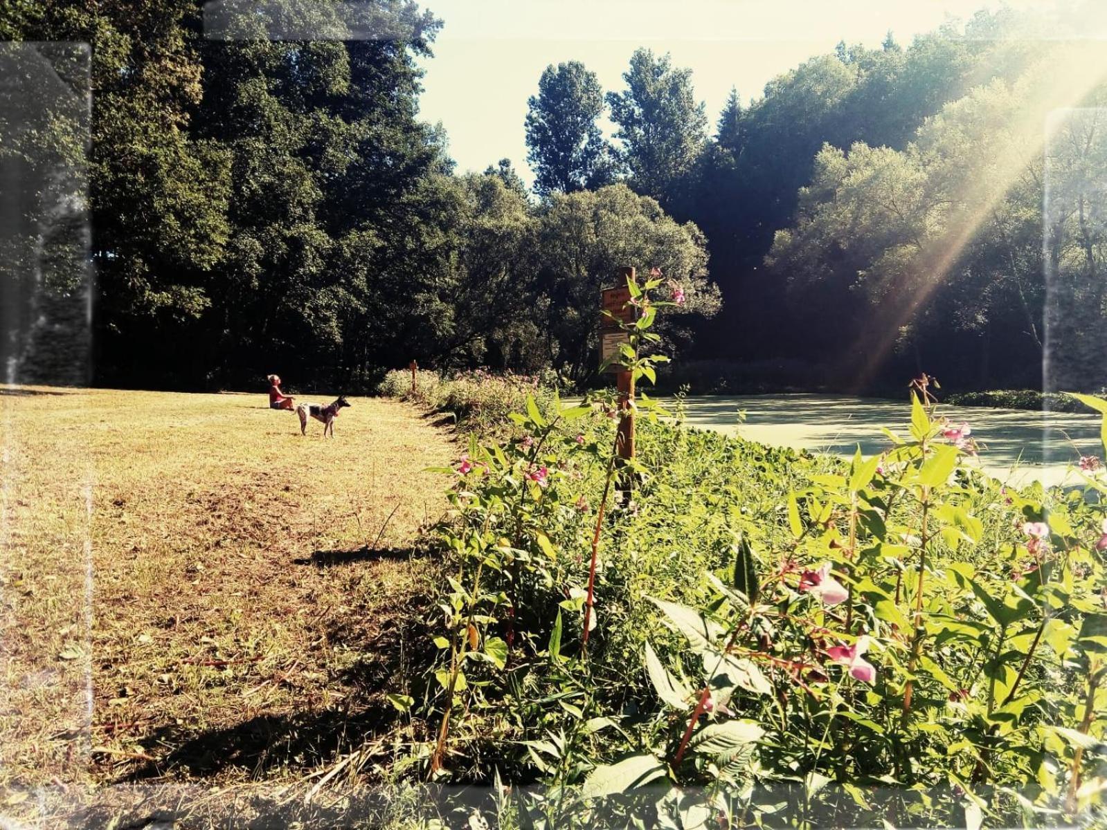 Sabine'S Wellnesslodge Ruppertsweiler Zewnętrze zdjęcie